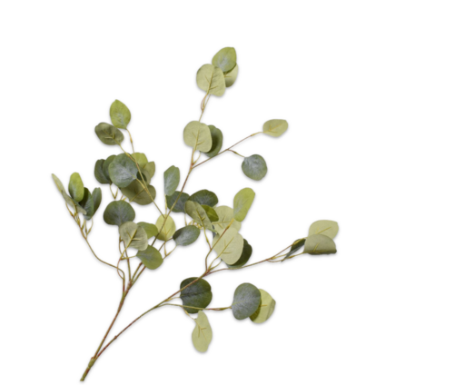 Silk-ka - Eucalyptus grön 101cm