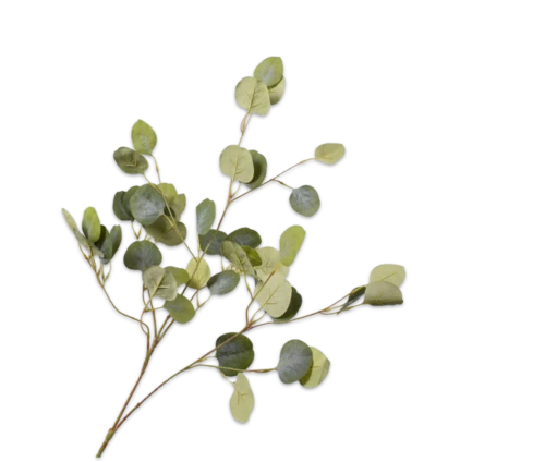 Silk-ka - Eucalyptus grön 101cm